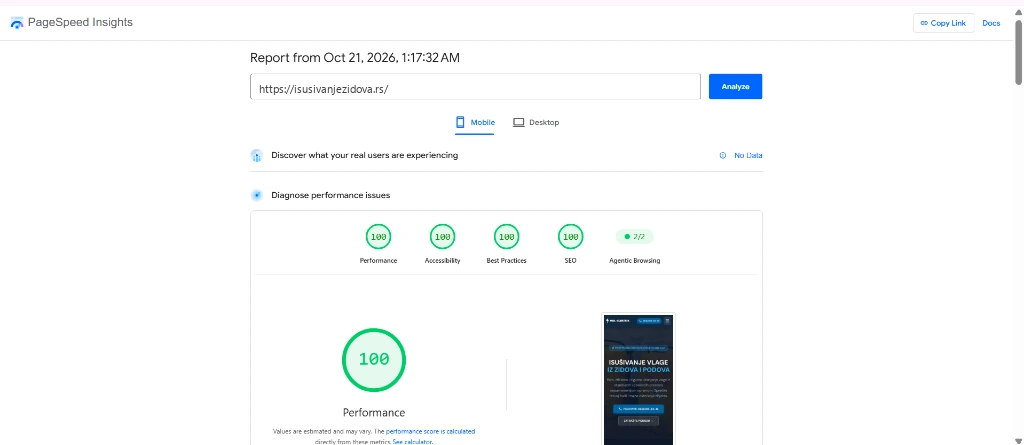 Google PageSpeed Insights 100/100 Score Dokaz - isusivanjezidova.rs