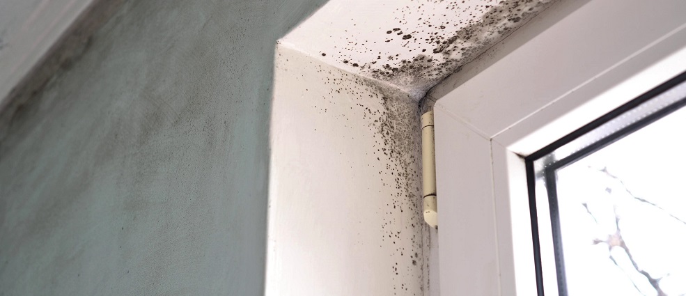 isušivanje objekta u izgradnji