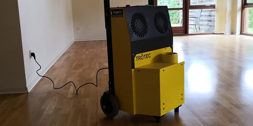 Uklanjanje buđi ozon generatorima – efikasno rešenje za čist i zdrav prostor