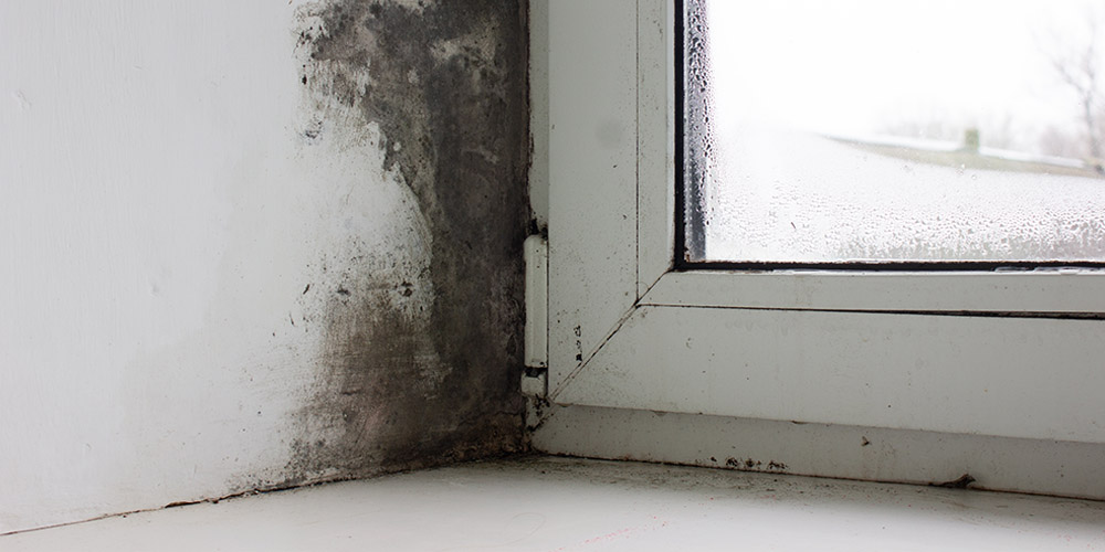 Sanacija vlage u stanu – efikasne metode za trajno rešavanje problema