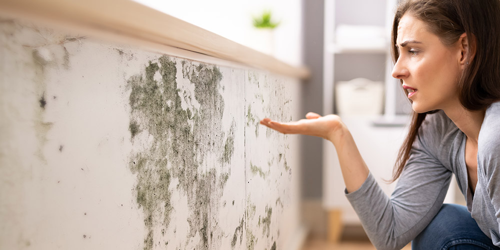 ukljanjanje vlage nakon poplave